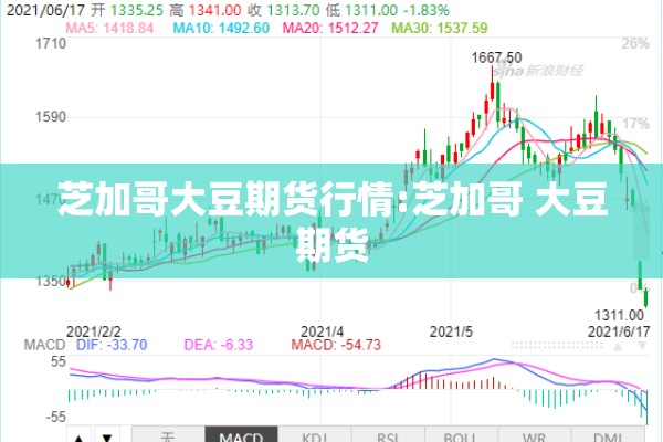 芝加哥大豆期货行情:芝加哥 大豆期货