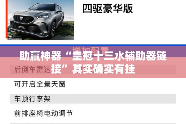 助赢神器“皇冠十三水辅助器链接”其实确实有挂