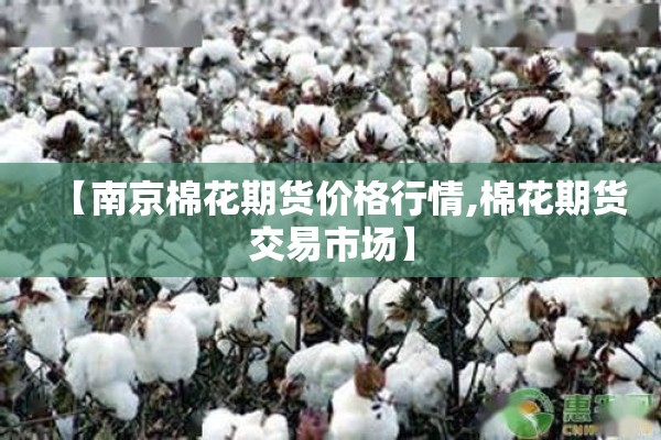 辅助教程“微乐山西麻将怎么提高胜率”(透视挂)辅助透视教程