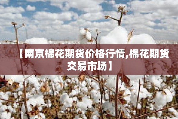 【南京棉花期货价格行情,棉花期货交易市场】 【南京棉花期货价格行情,棉花期货交易市场】