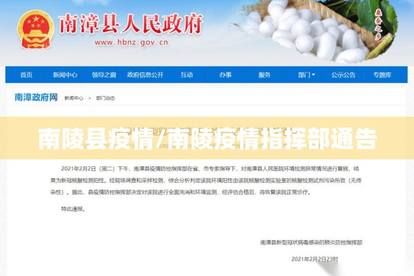 张文宏谈上海感染疫情/上海张文宏谈肺炎视频