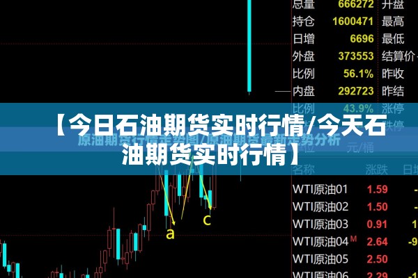 行情期货原油/期货原油实时交易