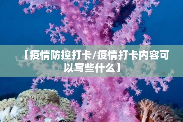 【疫情防控处置/疫情防控处置应急预案】