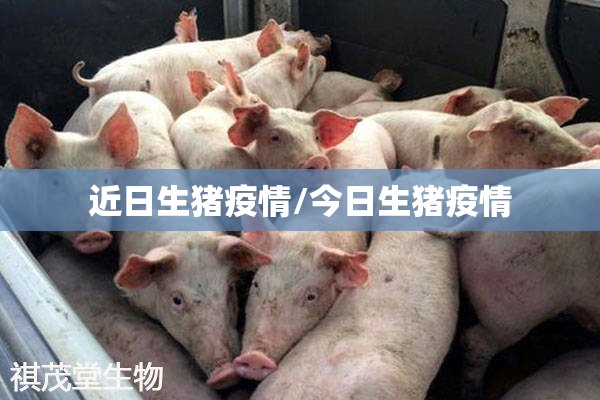 杜塞尔多夫疫情/杜塞尔多夫介绍