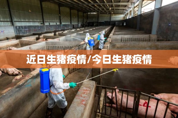 近日生猪疫情/今日生猪疫情 近日生猪疫情/今日生猪疫情