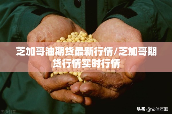 【新乡获嘉县疫情,新乡获嘉新型肺炎疫情】