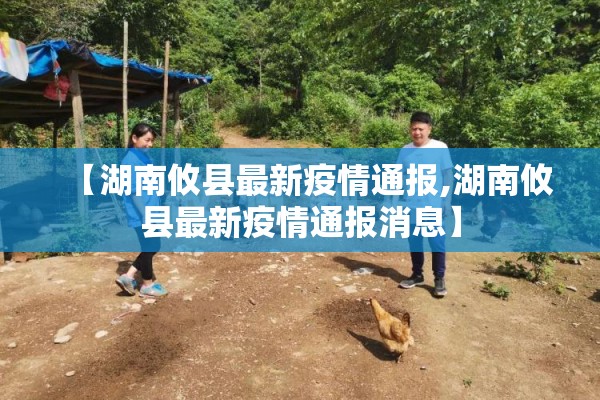 安装程序教程“微乐麻将万能开挂器免费”开挂(透视)辅助教程