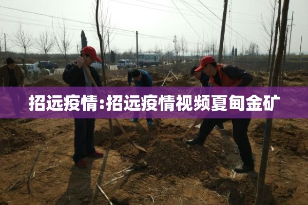 招远疫情:招远疫情视频夏甸金矿