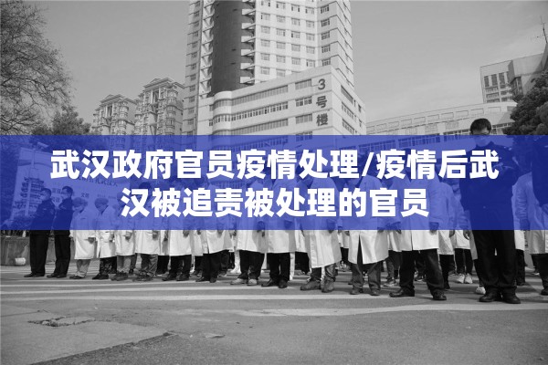 武汉政府官员疫情处理/疫情后武汉被追责被处理的官员