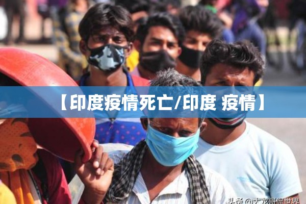 22年苹果期货价格行情/22年苹果期货价格行情分析