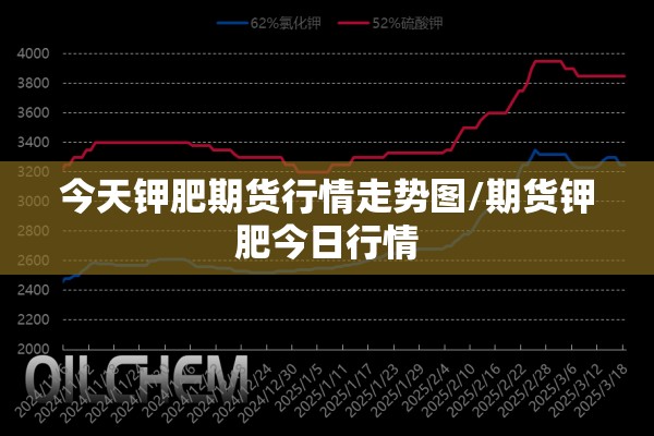 织牢疫情防控网/织密防控网
