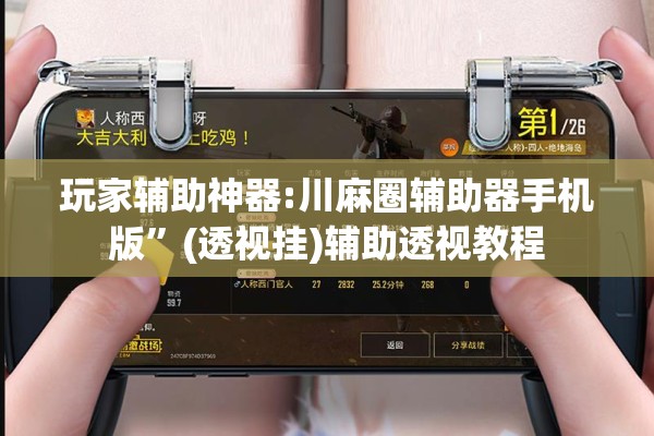 玩家辅助神器:川麻圈辅助器手机版”(透视挂)辅助透视教程