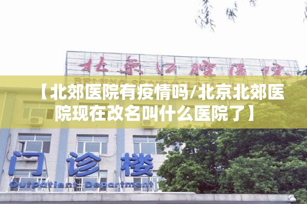 铁矿石最新期货视频行情/铁矿石期货实时行情金投网