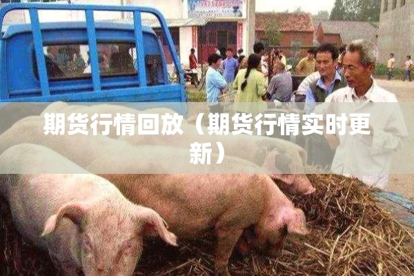 期货行情回放（期货行情实时更新）
