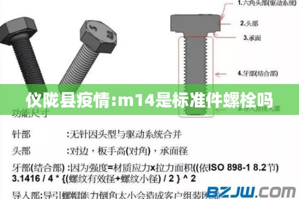 仪陇县疫情:m14是标准件螺栓吗