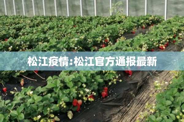 松江疫情:松江官方通报最新 松江疫情:松江官方通报最新