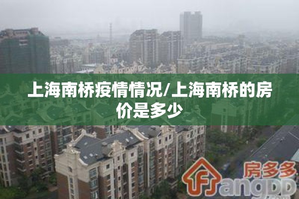 上海南桥疫情情况/上海南桥的房价是多少