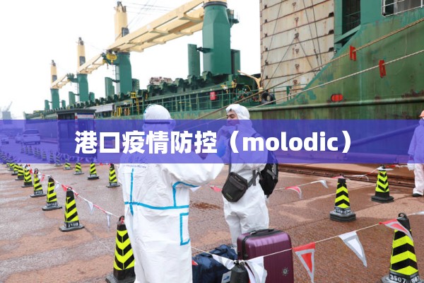 港口疫情防控(molodic) 港口疫情防控(molodic)
