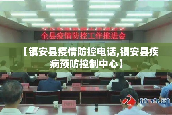新冠疫情发布/新冠疫情发布会