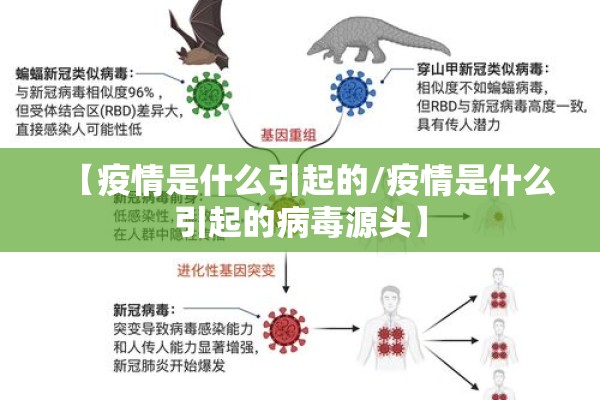 【孝感疫情,孝感疫情2026】