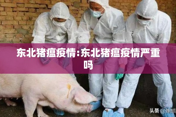东北猪瘟疫情:东北猪瘟疫情严重吗