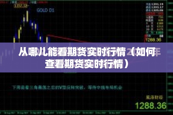 从哪儿能看期货实时行情（如何查看期货实时行情）