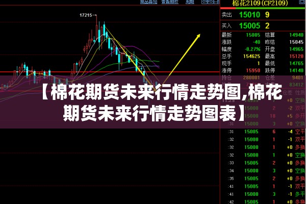 疫情防控述职报告2021:疫情工作总结个人