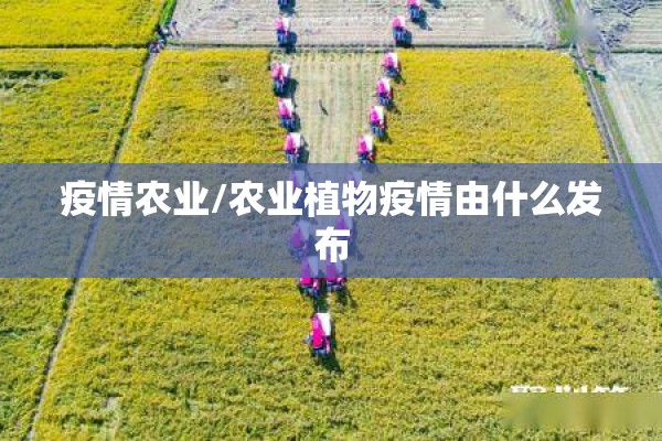 【黑龙江黑河市疫情,电线为什么是两根】
