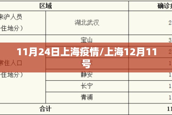 11月24日上海疫情/上海12月11号