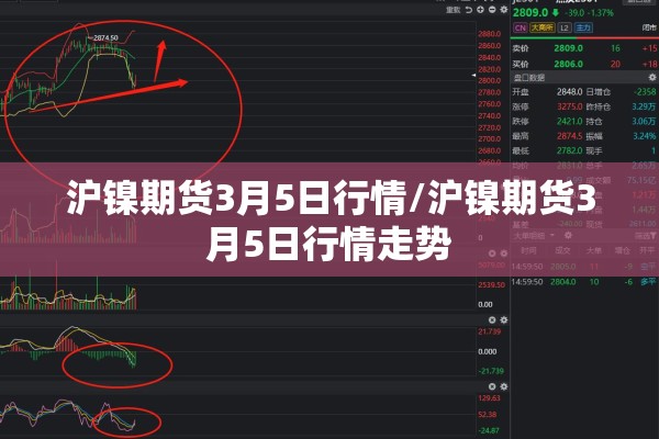 沪镍期货3月5日行情/沪镍期货3月5日行情走势