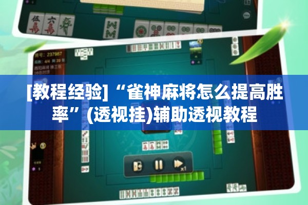 [教程经验]“众娱十三水到底有没有挂”开挂(透视)辅助教程