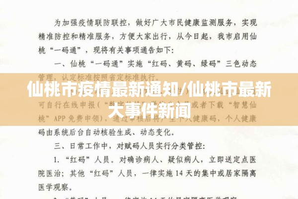 新河县疫情（新河县新河镇）