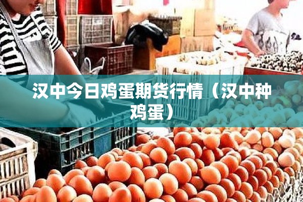 汉中今日鸡蛋期货行情（汉中种鸡蛋）