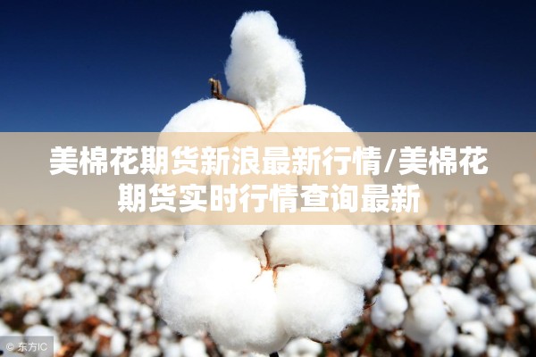 保持疫情防控:有力保障了疫情防控