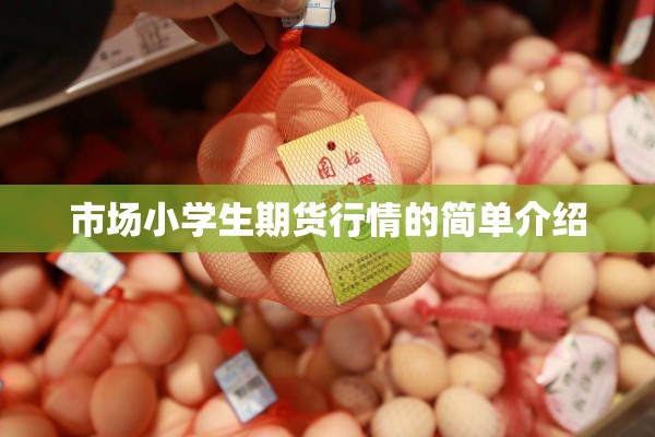 市场小学生期货行情的简单介绍