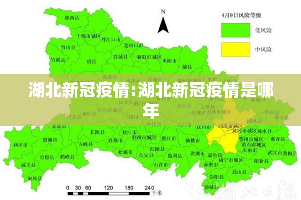湖北新冠疫情:湖北新冠疫情是哪年