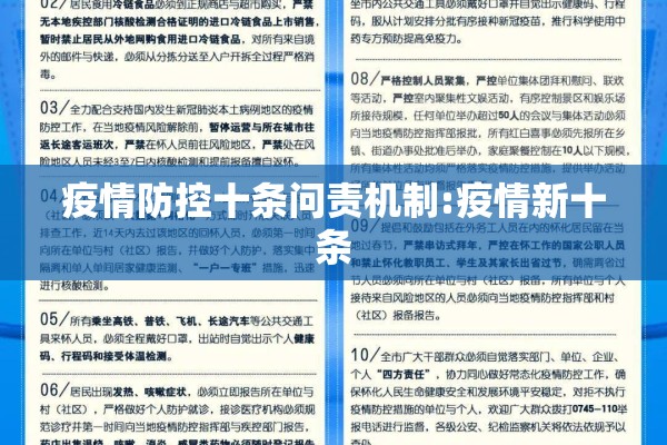 疫情防控十条问责机制:疫情新十条
