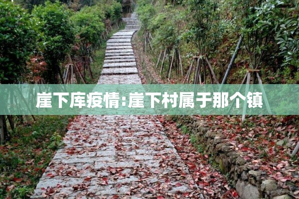 崖下库疫情:崖下村属于那个镇