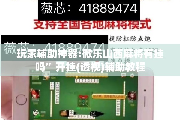 玩家辅助神器:微乐山西麻将有挂吗	”开挂(透视)辅助教程