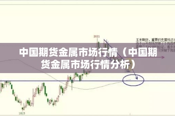 中国期货金属市场行情（中国期货金属市场行情分析）