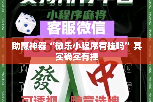 可用版本“微乐自建房安装挂”分享装挂详细步骤