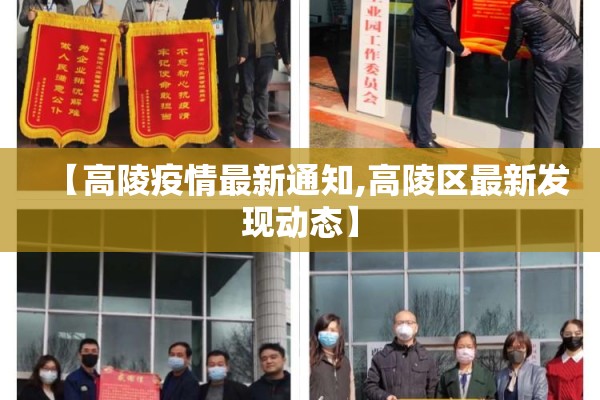 【高陵疫情最新通知,高陵区最新发现动态】