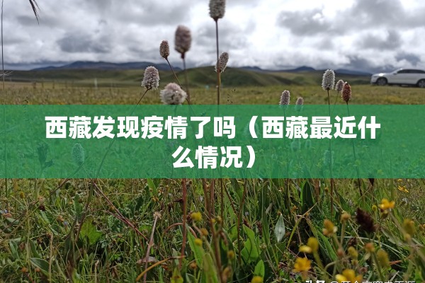 西藏发现疫情了吗(西藏最近什么情况) 西藏发现疫情了吗(西藏最近什么情况)