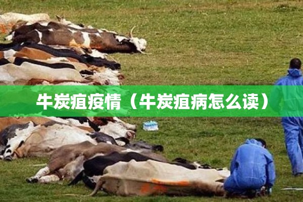 滕州市疫情防控/滕州市疫情防控人员名单