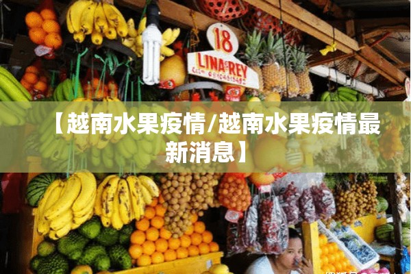 疫情下中国经济/后疫情时代的中国经济