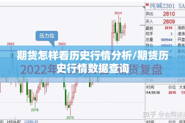 期货怎样看历史行情分析/期货历史行情数据查询