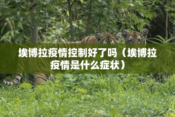 埃博拉疫情控制好了吗（埃博拉疫情是什么症状）