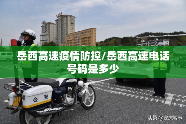螺纹刚主力期货合约行情（螺纹钢主力期货行情）