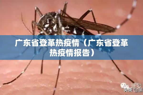 广东省登革热疫情（广东省登革热疫情报告）