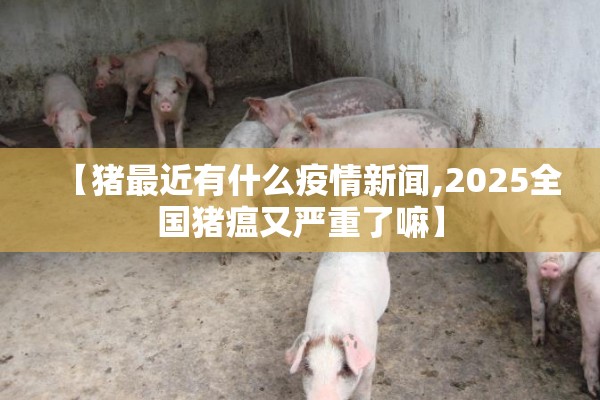 【猪最近有什么疫情新闻,2025全国猪瘟又严重了嘛】